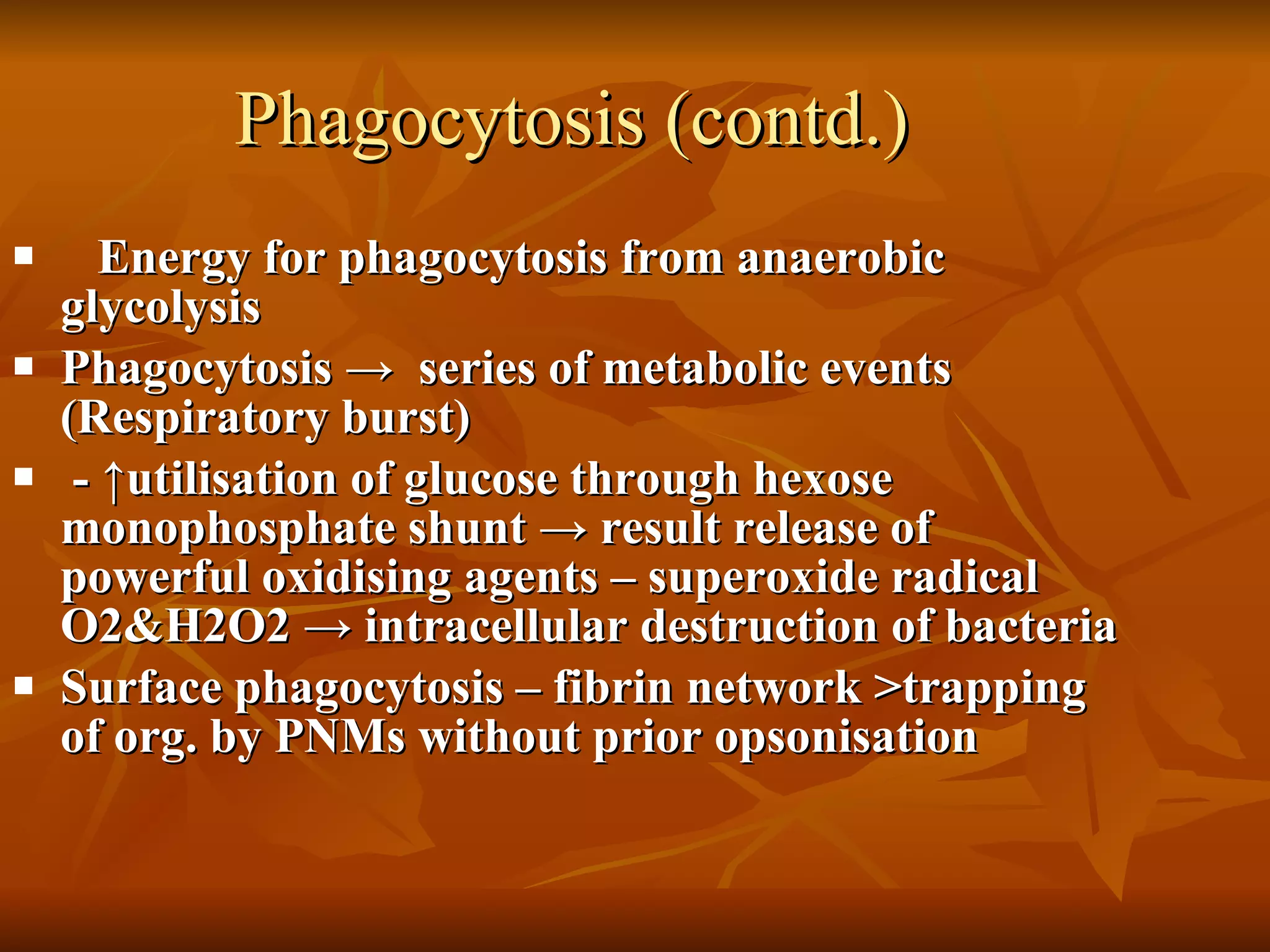 Phagocytosis (contd.) Energy for phagocytosis from anaerobic glycolysis Phagocytosis  ->   series of metabolic events (Respiratory burst) -  ↑utilisation of glucose through hexose monophosphate shunt -> result release of  powerful oxidising agents – superoxide radical O2&H2O2 -> intracellular destruction of bacteria Surface phagocytosis – fibrin network >trapping of org. by PNMs without prior opsonisation 