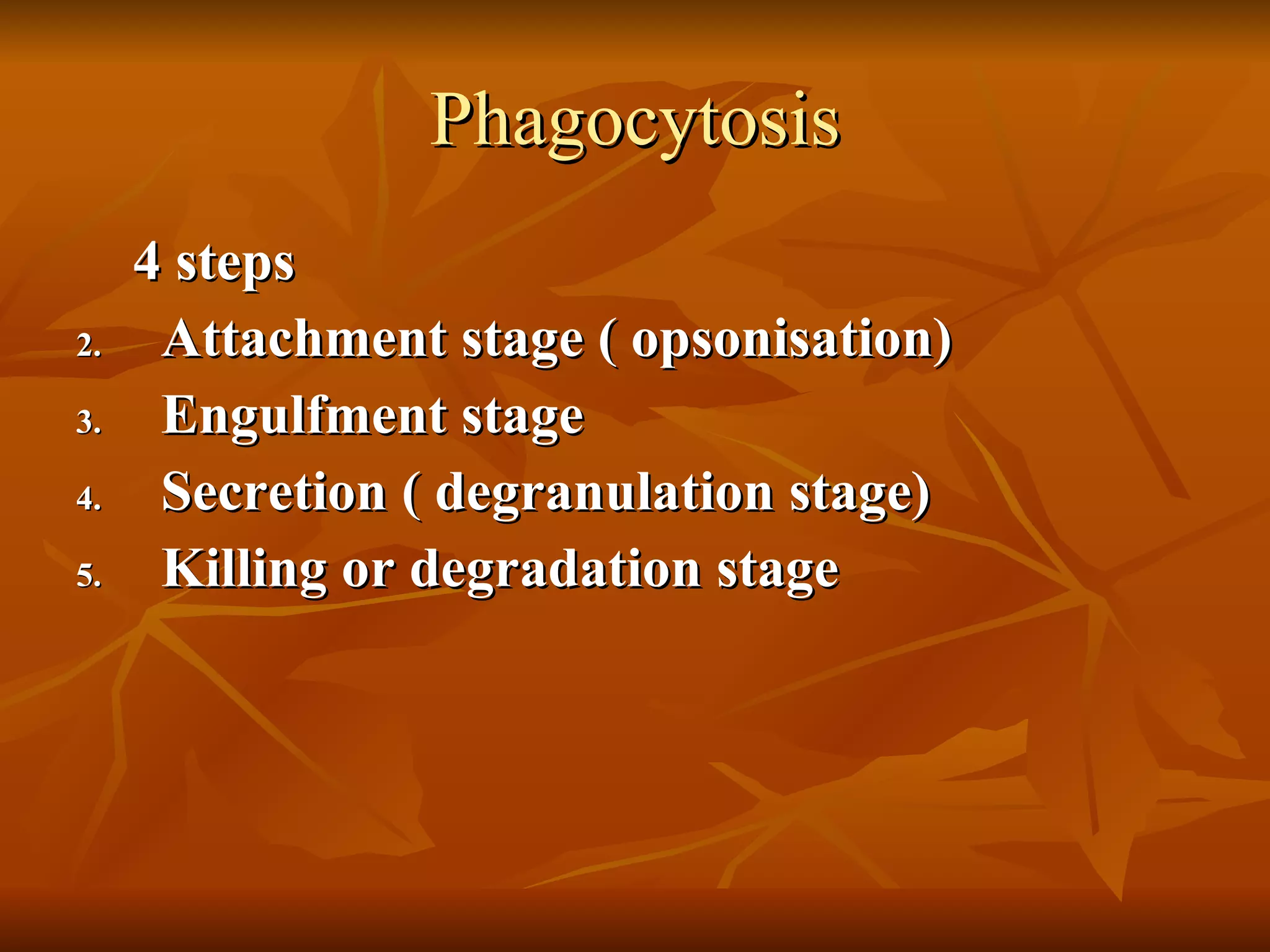 Phagocytosis 4 steps Attachment stage ( opsonisation) Engulfment stage Secretion ( degranulation stage) Killing or degradation stage 