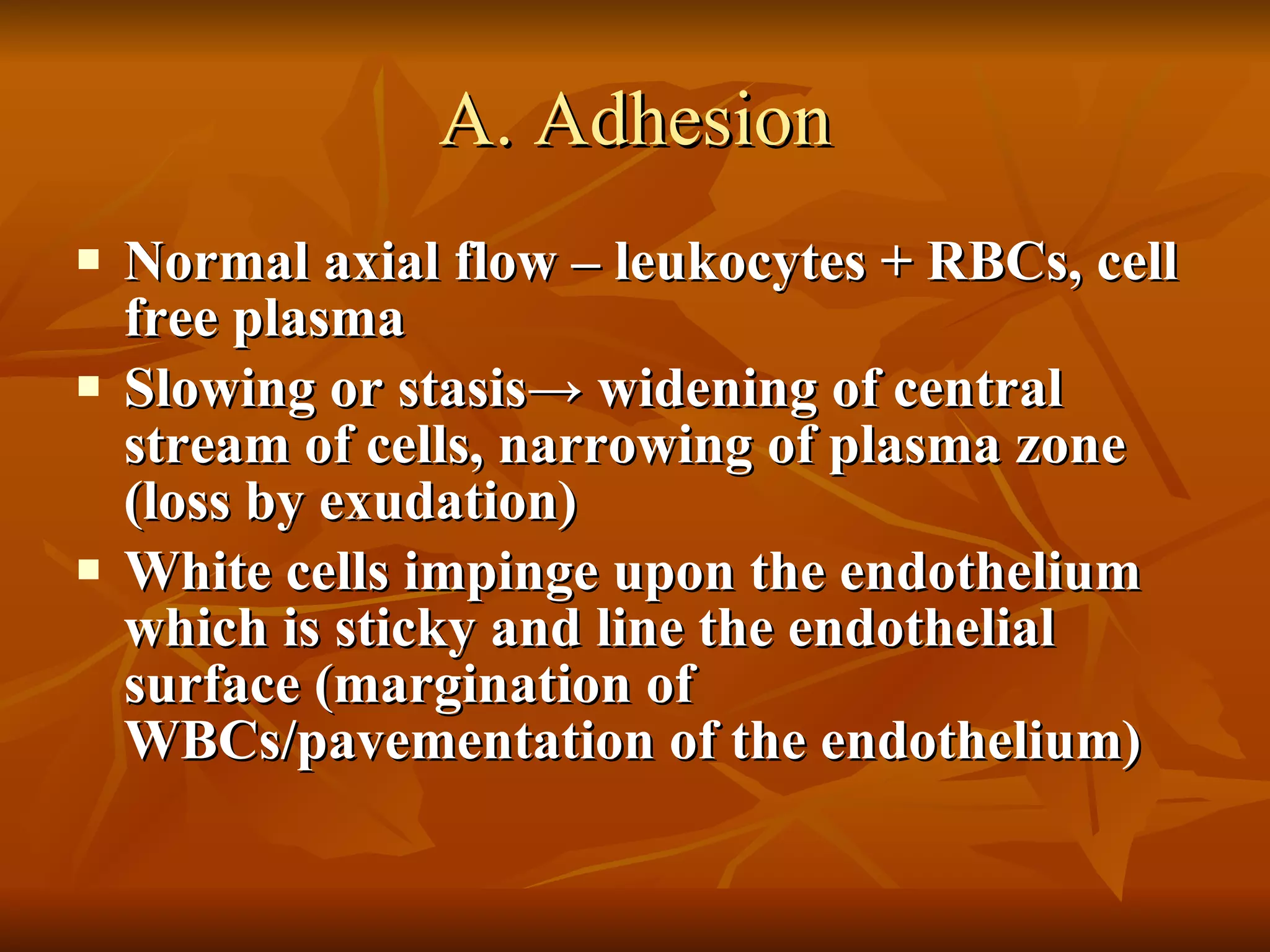 A. Adhesion Normal axial flow – leukocytes + RBCs, cell free plasma Slowing or stasis -> widening of central stream of cells, narrowing of plasma zone (loss by exudation) White cells impinge upon the endothelium which is sticky and line the endothelial surface (margination of WBCs/pavementation of the endothelium) 