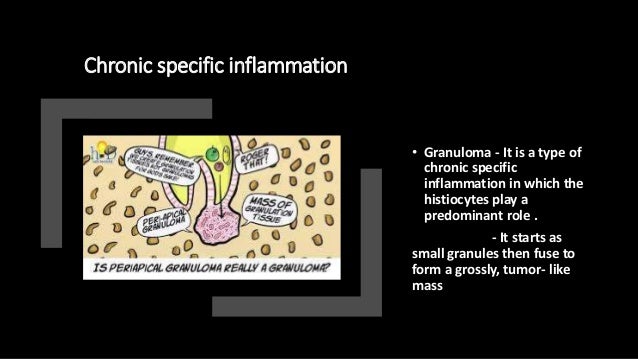 Inflammation and Repair