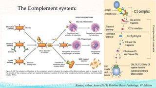 Inflammation in the Oral Cavity | PPTX