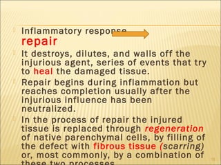    Inflammator y response
    repair
   It destroys, dilutes, and walls of f the
    injurious agent, series of events that tr y
    to heal the damaged tissue.
   Repair begins during inflammation but
    reaches completion usually af ter the
    injurious influence has been
    neutralized.
   In the process of repair the injured
    tissue is replaced through regeneration
    of native parenchymal cells, by filling of
    the defect with fibrous tissue (scarring)
    or, most commonly, by a combination of        15
 