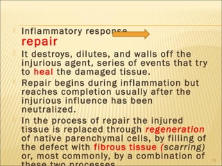    Inflammator y response
    repair
   It destroys, dilutes, and walls of f the
    injurious agent, series of events t...