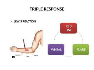 INFLAMMATION acute Inflammation Vascular pptx inflammation-acute-inflammation-vascular-pptx