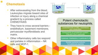 Inflammation part 1 | PPTX