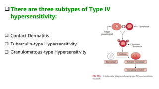 There are three subtypes of Type IV
hypersensitivity:
 Contact Dermatitis
 Tuberculin-type Hypersensitivity
 Granulomatous-type Hypersensitivity
 