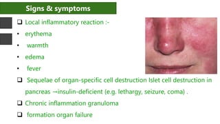 Signs & symptoms
 Local inflammatory reaction :-
• erythema
• warmth
• edema
• fever
 Sequelae of organ-specific cell destruction Islet cell destruction in
pancreas →insulin-deficient (e.g. lethargy, seizure, coma) .
 Chronic inflammation granuloma
 formation organ failure (e.g. lethargy, seizure, coma) Chronic inflammation granuloma formation organ failure
 