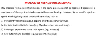 ETIOLOGY OF CHRONIC INFLAMMATION
May progress from acute inflammation, if the acute process cannot be recovered because of a
persistence of the agent or interference with normal healing. However, Some specific injurious
agents which typically cause chronic inflammation, such as
(a) Persistent viral infections (e.g. caprine arthritis encephalitis virus).
(b) Persistent microbial infections (e.g. Mycobacterium spp. and fungi).
(c) Prolonged exposure to some toxic agents (e.g. asbestos).
(d) Few autoimmune diseases (e.g. lupus erythematosus).
 