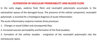 ALTERATION IN VASCULAR PERMEABILITY AND BLOOD FLOW
In the early stages, oedema fluid, fibrin and neutrophil polymorphs accumulate in the
extracellular spaces of the damaged tissue. The presence of the cellular component, neutrophil
polymorph, is essential for a histological diagnosis of acute inflammation.
The acute inflammatory response involves three processes:
1. Changes in vessel Caliber and consequently flow.
2. Increased vascular permeability and formation of the fluid exudates.
3. Formation of the cellular exudate - emigration of the neutrophil polymorphs into the
extravascular space.
 