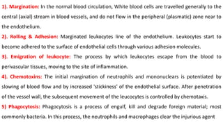 1). Margination: In the normal blood circulation, White blood cells are travelled generally to the
central (axial) stream in blood vessels, and do not flow in the peripheral (plasmatic) zone near to
the endothelium.
2). Rolling & Adhesion: Marginated leukocytes line of the endothelium. Leukocytes start to
become adhered to the surface of endothelial cells through various adhesion molecules.
3). Emigration of leukocyte: The process by which leukocytes escape from the blood to
perivascular tissues, moving to the site of inflammation.
4). Chemotoxins: The initial margination of neutrophils and mononuclears is potentiated by
slowing of blood flow and by increased 'stickiness' of the endothelial surface. After penetration
of the vessel wall, the subsequent movement of the leucocytes is controlled by chemotaxis.
5) Phagocytosis: Phagocytosis is a process of engulf, kill and degrade foreign material; most
commonly bacteria. In this process, the neutrophils and macrophages clear the injurious agent
 