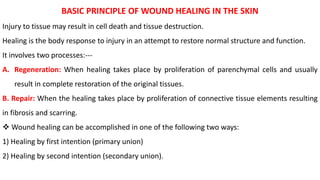 BASIC PRINCIPLE OF WOUND HEALING IN THE SKIN
Injury to tissue may result in cell death and tissue destruction.
Healing is the body response to injury in an attempt to restore normal structure and function.
It involves two processes:---
A. Regeneration: When healing takes place by proliferation of parenchymal cells and usually
result in complete restoration of the original tissues.
B. Repair: When the healing takes place by proliferation of connective tissue elements resulting
in fibrosis and scarring.
 Wound healing can be accomplished in one of the following two ways:
1) Healing by first intention (primary union)
2) Healing by second intention (secondary union).
 