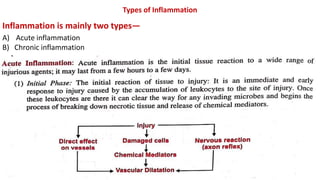 Types of Inflammation
Inflammation is mainly two types—
A) Acute inflammation
B) Chronic inflammation
 