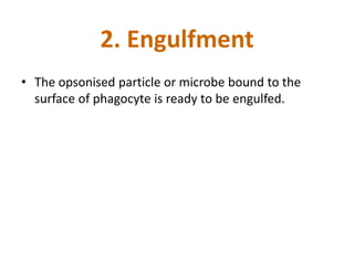 Engulphed INFLAMMATION AND INJURY - Lecture 1 | PPTX