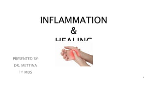 PRESENTED BY
DR. METTINA
1st MDS
INFLAMMATION
&
HEALING
1
 