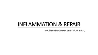 INFLAMMATION & REPAIR
-DR.STEPHEN OMEGA BENITTA.M.B.B.S.,
 