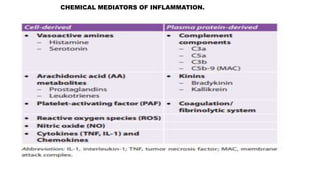 CHEMICAL MEDIATORS OF INFLAMMATION.
 