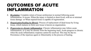 OUTCOMES OF ACUTE
INFLAMMATION
1. Resolution: Complete return of tissue architecture to normal following acute
inflammation. It occurs: When the injury is limited or short-lived, with no or minimal
tissue damage or When injured tissue is capable of regeneration.
2. Organization/healing by fibrosis: Process of replacement of dead tissue by living
tissue, which matures to form scar tissue is known as organization.
3. Progression to chronic inflammation: Chronic inflammation may follow acute
inflammation, or it may be chronic from the beginning itself. Acute progress to chronic
when the acute inflammatory response cannot be resolved. This may be due to:
Persistence of the injurious agent or Abnormality in the process of healing.
 