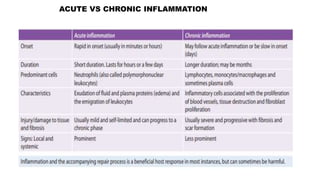 ACUTE VS CHRONIC INFLAMMATION
 