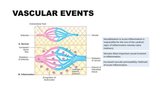 VASCULAR EVENTS
 