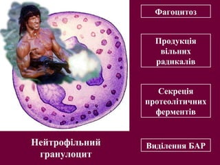 Екзоцитоз БАР
Екзоцитоз БАР
Екзоцитоз БАР
Екзоцитоз БАР
 