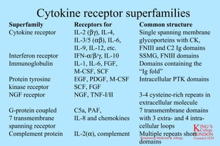 Cytokine receptor superfamilies Superfamily Receptors for Common structure Cytokine receptor IL-2 (  ), IL-4, Single spanning membrane IL-3/5 (  ), IL-6, glycoporteins with CK, IL-9, IL-12, etc. FNIII and C2 Ig domains Interferon receptor IFN-  , IL-10 SSMG, FNIII domains Immunoglobulin IL-1, IL-6, FGF, Domains containing the M-CSF, SCF “Ig fold” Protein tyrosine EGF, PDGF, M-CSF Intracellular PTK domains kinase receptor SCF, FGF NGF receptor NGF, TNF-I/II 3-4 cysteine-rich repeats in extracellular molecule G-protein coupled C5a, PAF,  7 transmembrane domains 7 transmembrane IL-8 and chemokines with 3 extra- and 4 intra- spanning receptor cellular loops Complement protein IL-2(  ), complement Multiple repeats short  domains 