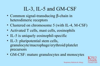 IL-3, IL-5 and GM-CSF Common signal-transducing   -chain in heterodimeric receptors Clustered on chromosome 5 (with IL-4, M-CSF) Activated T cells, mast cells, eosinophils IL-5 is uniquely eosinophil-specific IL-3: pluripotential stem cells, granulocyte/macrophage/erythroid/platelet precursors GM-CSF: mature granulocytes and monocytes 