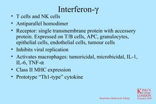 Interferon-  T cells and NK cells Antiparallel homodimer Receptor: single transmembrane protein with accessory protein. Expressed on T/B cells, APC, granulocytes, epithelial cells, endothelial cells, tumour cells Inhibits viral replication Activates macrophages: tumoricidal, microbicidal, IL-1, IL-6, TNF-  Class II MHC expression Prototype “Th1-type” cytokine 