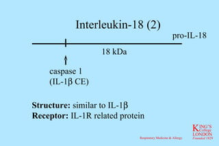 Interleukin-18 (2) pro-IL-18 18 kDa caspase 1 (IL-1   CE) Structure:  similar to IL-1  Receptor:  IL-1R related protein 
