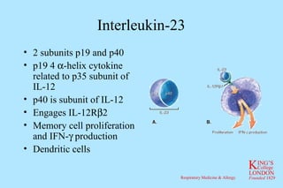 Interleukin-23 2 subunits p19 and p40 p19 4   -helix cytokine related to p35 subunit of IL-12 p40 is subunit of IL-12 Engages IL-12R  2 Memory cell proliferation and IFN-   production Dendritic cells 