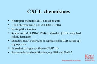CXCL chemokines Neutrophil chemotaxis (IL-8 most potent) T cell chemotaxis (e.g. IL-8 CD8+ T cells) Neutrophil activation Suppress (IL-8, GRO-  , PF4) or stimulate (SDF-1) myeloid colony formation Stimulate (ELR subgroup) or suppress (non-ELR subgroup) angiogenesis Fibroblast collagen synthesis (CTAP III) Post-translational modification, e.g. PBP and NAP-2 