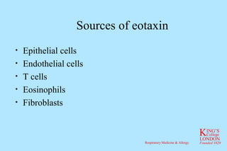 Sources of eotaxin Epithelial cells Endothelial cells T cells Eosinophils Fibroblasts 