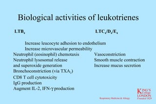 Biological activities of leukotrienes LTB 4  LTC 4 /D 4 /E 4 Increase leucocyte adhesion to endothelium Increase microvascular permeability Neutrophil (eosinophil) chemotaxis Vasoconstriction Neutrophil lysosomal release Smooth muscle contraction and superoxide generation Increase mucus secretion Bronchoconstriction (via TXA 2 ) CD8 T cell cytotoxicity IgG production Augment IL-2, IFN-   production 