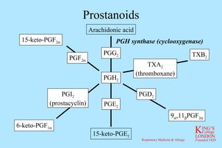 Prostanoids Arachidonic acid 15-keto-PGE 2 PGG 2 PGH 2 PGE 2 PGH synthase (cyclooxygenase) 15-keto-PGF 2  PGF 2  6-keto-PGF 1  PGI 2 (prostacyclin) TXB 2 TXA 2 (thromboxane) 9  ,11  PGF 2  PGD 2 