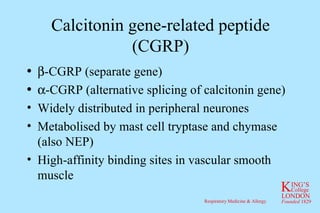 Calcitonin gene-related peptide (CGRP)  -CGRP (separate gene)  -CGRP (alternative splicing of calcitonin gene) Widely distributed in peripheral neurones Metabolised by mast cell tryptase and chymase (also NEP) High-affinity binding sites in vascular smooth muscle 