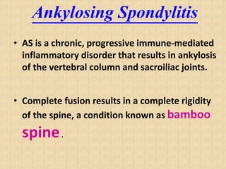 Ankylosing Spondylitis
• AS is a chronic, progressive immune-mediated
inflammatory disorder that results in ankylosis
of the vertebral column and sacroiliac joints.
• Complete fusion results in a complete rigidity
of the spine, a condition known as bamboo
spine.
 