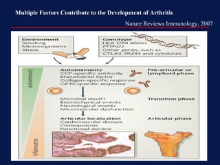 Multiple Factors Contribute to the Development of Arthritis
Nature Reviews Immunology, 2007
 