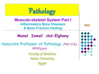 Manal Ismail Abd-Elghany
Associate Professor of Pathology, PhD (UK),
MD(Egypt)
Musculo-skeletal System Part I
Inflammatory Bone Diseases
& Bone Fracture Healing
 