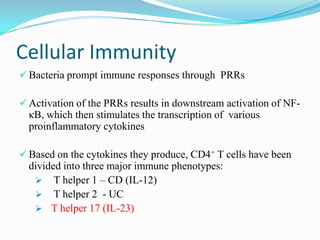 Cellular Immunity
 Bacteria prompt immune responses through PRRs
 Activation of the PRRs results in downstream activation of NF-
κB, which then stimulates the transcription of various
proinflammatory cytokines
 Based on the cytokines they produce, CD4+ T cells have been
divided into three major immune phenotypes:
 T helper 1 – CD (IL-12)
 T helper 2 - UC
 T helper 17 (IL-23)
 