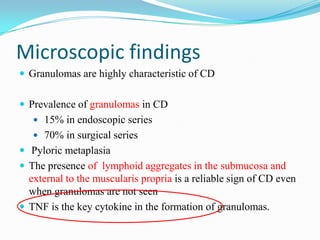 Microscopic findings
 Granulomas are highly characteristic of CD
 Prevalence of granulomas in CD
 15% in endoscopic series
 70% in surgical series
 Pyloric metaplasia
 The presence of lymphoid aggregates in the submucosa and
external to the muscularis propria is a reliable sign of CD even
when granulomas are not seen
 TNF is the key cytokine in the formation of granulomas.
 