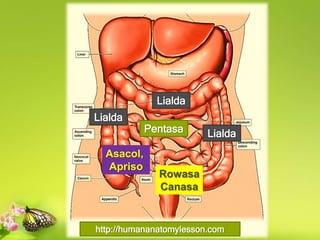 http://humananatomylesson.com
Pentasa
Asacol,
Apriso
Lialda
Lialda
Lialda
Rowasa
Canasa
 