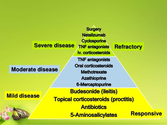 Inflammatory Bowel Disease Aminosalicylates