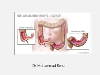 Dr. Mohammad Rehan
 