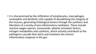 • It is characterized by the infiltration of lymphocytes, macrophages,
neutrophils and dendritic cells capable of destabilizing the integrity of
the mucosa, generating histological lesions through the synthesis and
liberation of a variety of pro-inflammatory mediators. These include
reactive oxygen species, eicosanoids, platelet activation factors,
nitrogen metabolites and cytokines, which actively contribute to the
pathogenic cascade that starts and maintains the chronic
inflammatory response in the gut.
 
