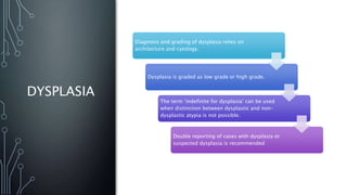 DYSPLASIA
Diagnosis and grading of dysplasia relies on
architecture and cytology.
Dysplasia is graded as low grade or high grade.
The term ‘indefinite for dysplasia’ can be used
when distinction between dysplastic and non-
dysplastic atypia is not possible.
Double reporting of cases with dysplasia or
suspected dysplasia is recommended
 