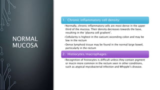 NORMAL
MUCOSA
1. Chronic inflammatory cell density:
•Normally, chronic inflammatory cells are most dense in the upper
third of the mucosa. Their density decreases towards the base,
resulting in the ‘plasma cell gradient’.
•Cellularity is highest in the caecum/ascending colon and may be
low in the rectum
•Dense lymphoid tissue may be found in the normal large bowel,
particularly in the rectum
2. Histiocytes/macrophages:
•Recognition of histiocytes is difficult unless they contain pigment
or mucin more common in the rectum seen in other conditions,
such as atypical mycobacterial infection and Whipple’s disease.
 