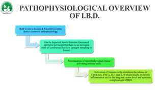 Ibd Introduction INFLAMMATORY BOWEL DISEASES | PPTX