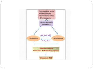 Inflammatory bowel diseases 