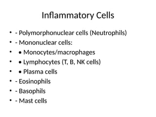 Inflammatory Cells
• - Polymorphonuclear cells (Neutrophils)
• - Mononuclear cells:
• • Monocytes/macrophages
• • Lymphocytes (T, B, NK cells)
• • Plasma cells
• - Eosinophils
• - Basophils
• - Mast cells
 