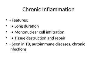 Chronic Inflammation
• - Features:
• • Long duration
• • Mononuclear cell infiltration
• • Tissue destruction and repair
• - Seen in TB, autoimmune diseases, chronic
infections
 