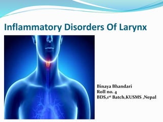 Inflammatory Disorders Of Larynx
Binaya Bhandari
Roll no. 4
BDS,1st Batch,KUSMS ,Nepal
 